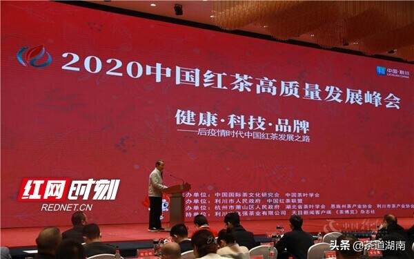 “湖南红茶”亮相中国红茶高质量发展峰会