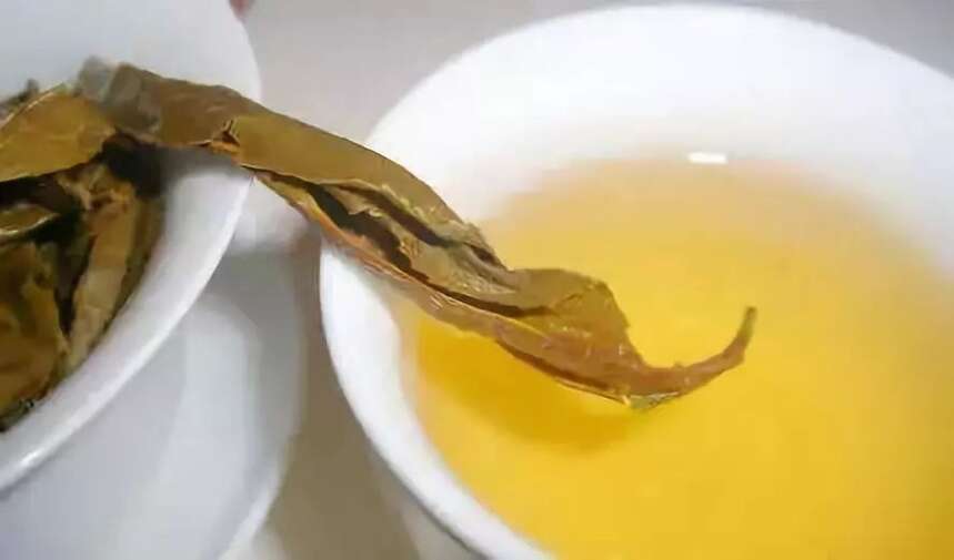 普洱茶黄片到底是什么，能不能喝？