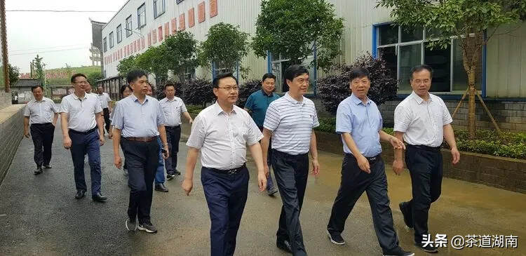 湖南农业大学领导和专家赴花垣县调研、茶产业联合研究院揭牌