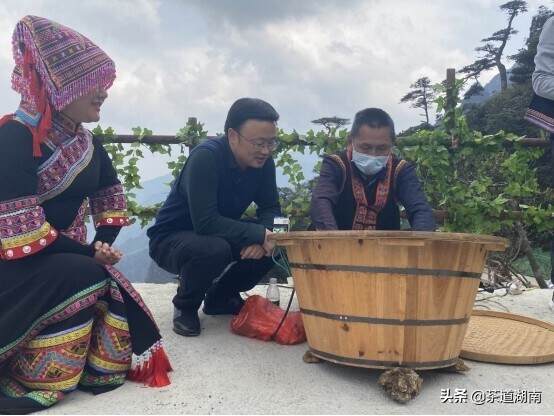31万拼多多网友围观县长泡茶 带动莽山瑶族茶叶电商销量上涨210%
