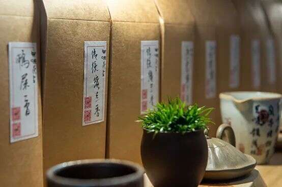 寻茶记：那些看名字就想去一下的苏州茶馆（2021·8）
