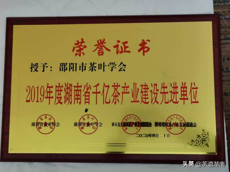 邵阳市茶叶专业协会及个人受表彰