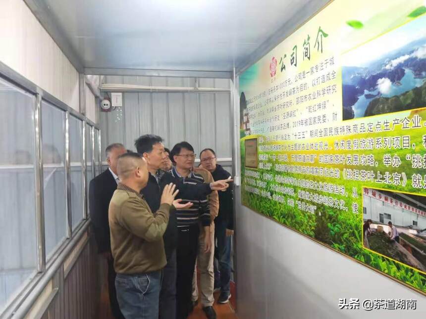 省人大农业与农村委员会专题调研城步峒茶产业