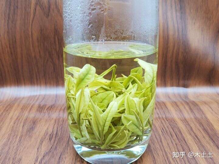 想喝绿茶有没有什么好的推荐？