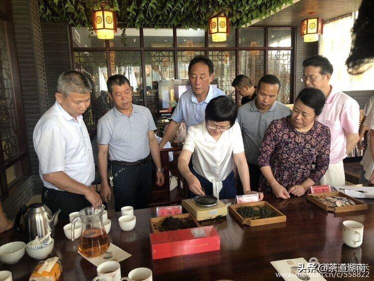 湖南省茶产业发展规划调研在新化渠江源召开重点企业座谈会