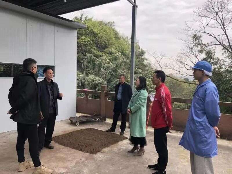 四川省茶叶行业协会赴蒙顶山新型高科技茶企调研