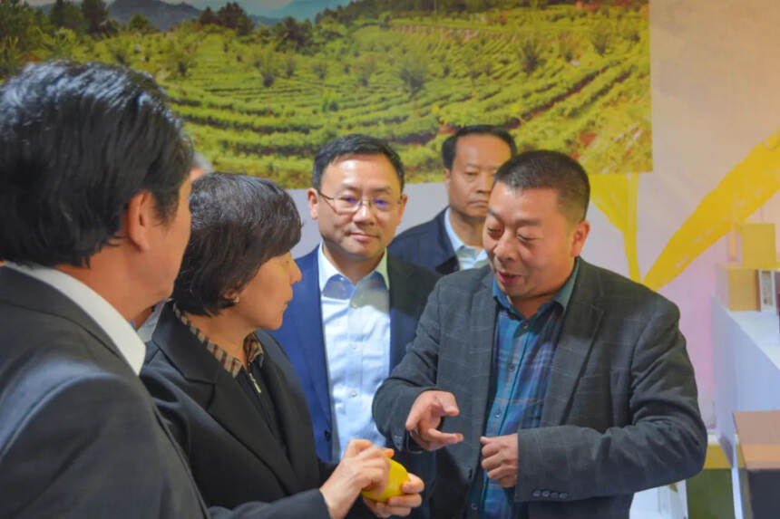 中国·旺苍首届米仓山茶业博览会成功举办