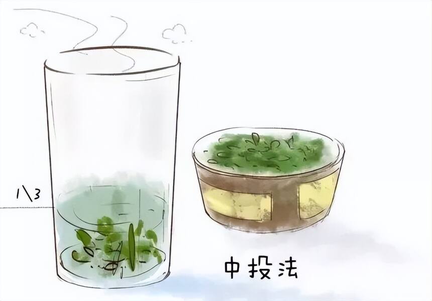 泡绿茶讲方法，才有好香气和好滋味