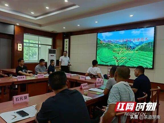 湘西州茶叶协会技术专家组在吉首成立
