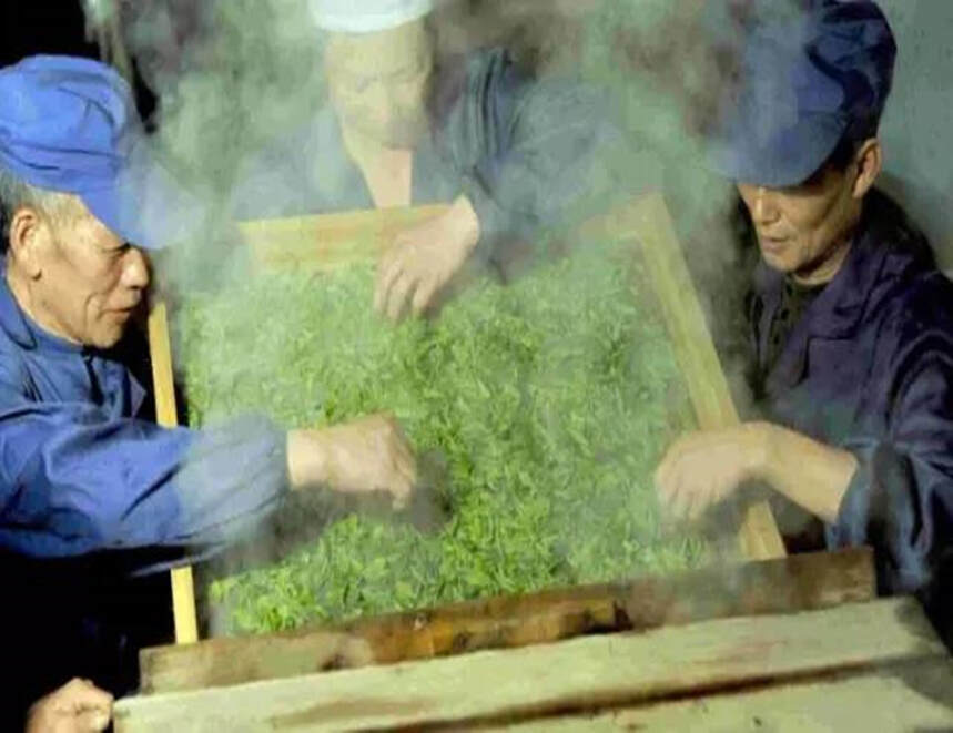 一茶一世界：恩施玉露有浓浓的唐宋风格、日本玉露则是覆下茶特色