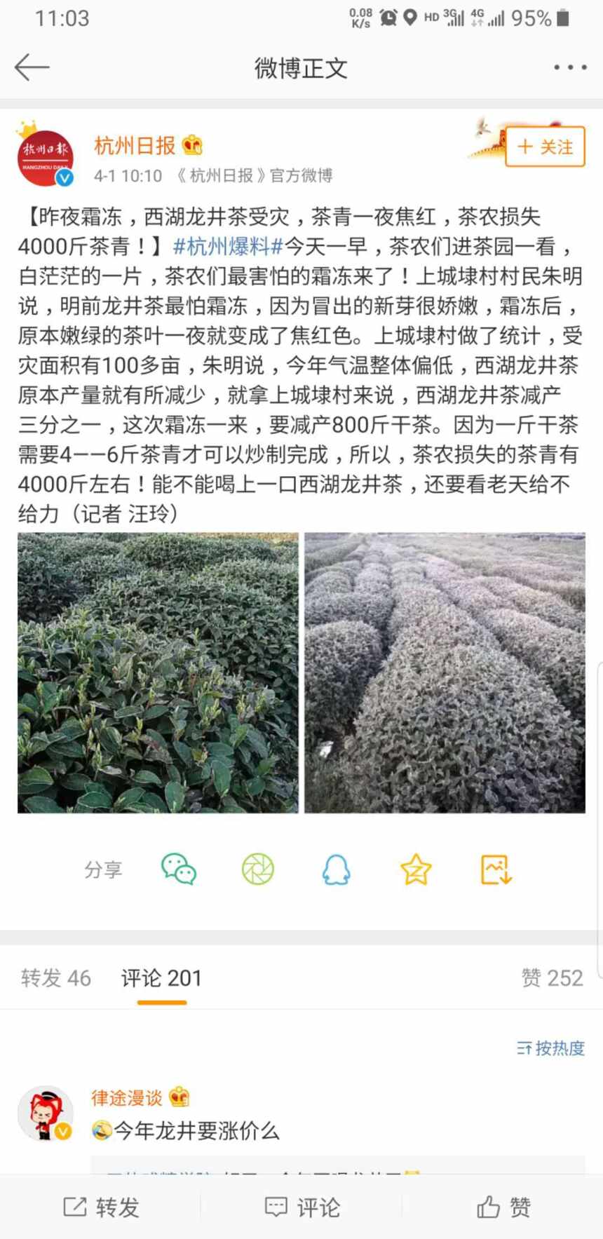 2019西湖龙井新茶上市时间表