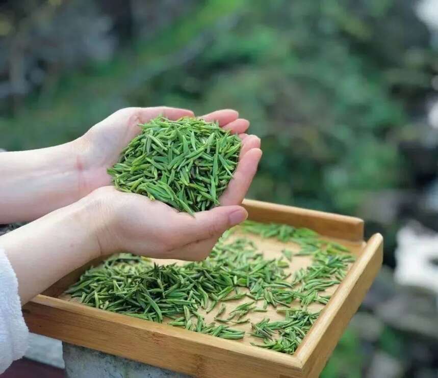 放了两年的绿茶叶能喝吗？绿茶的保质期是多久？