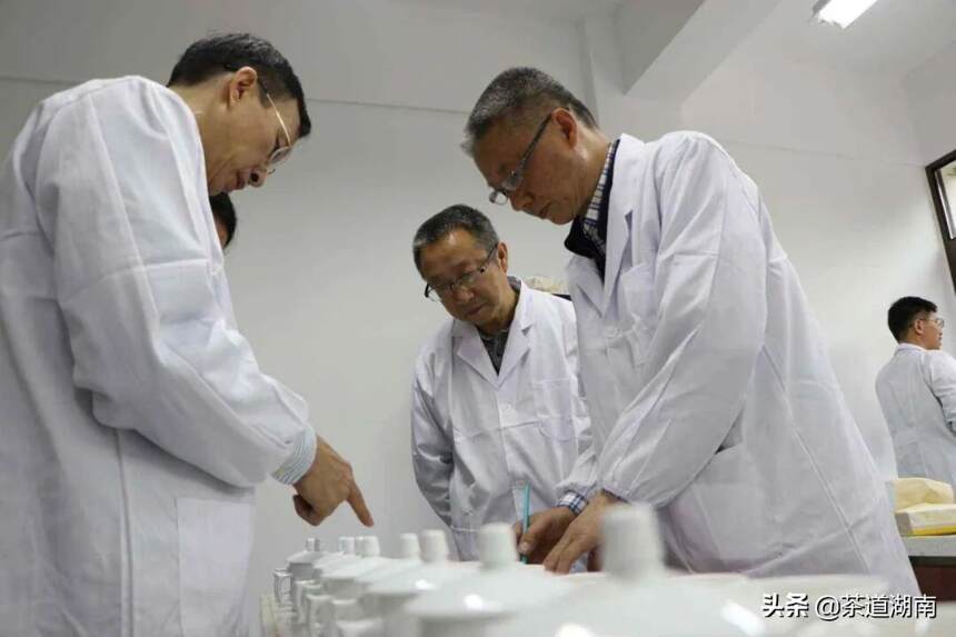 “名优茶评比”助推湘西茶产业高质量发展