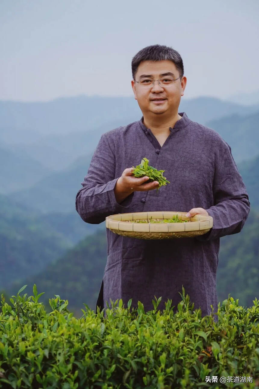凌晨下播的网红县长：一人卖出1500万元茶叶，俩月暴瘦12斤