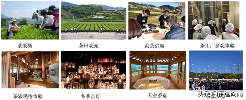 从日本两大茶乡看中国茶产业小镇如何实现进阶发展