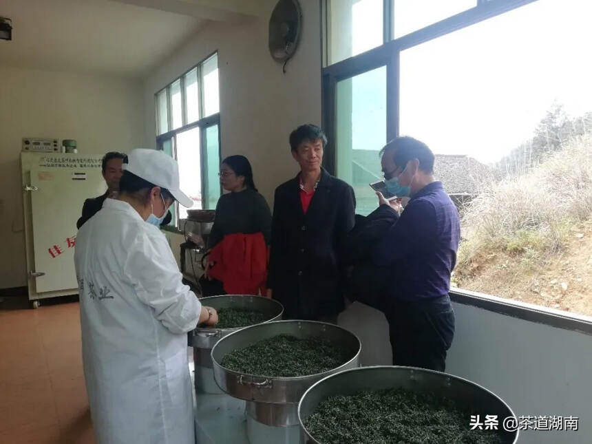 省残联谭奇元副理事长调研蒙洱茶业复工复产工作