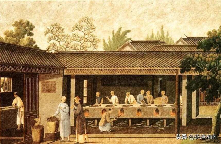清代“李子柒”带你穿越古茶园，看看那时的茶叶是如何制作的