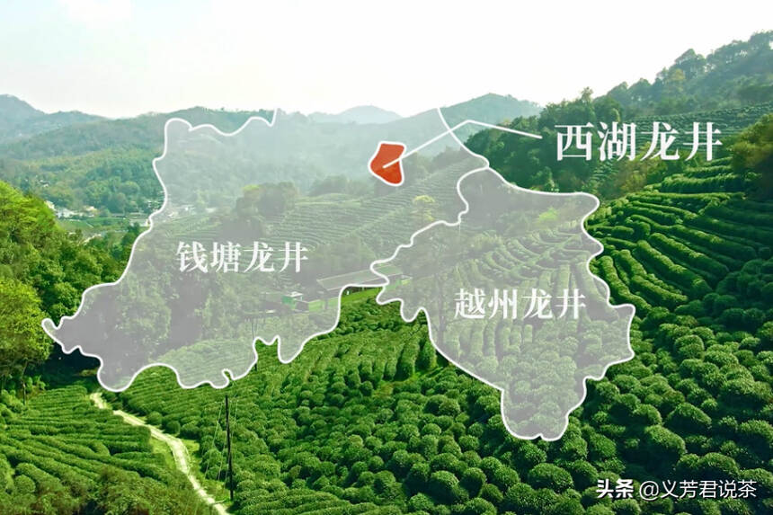 笑傲茶界上千年，西湖龙井凭什么能稳居中国十大名茶排行榜榜单？