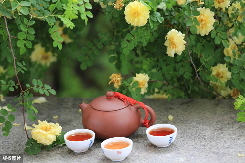 权威机构发布：“2020中国茶叶区域公用品牌价值评估”前十名出炉