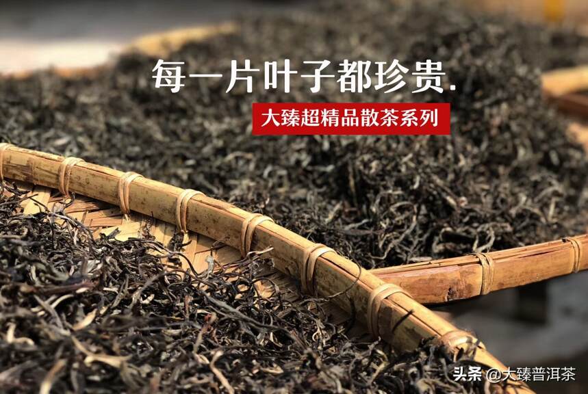 绽放一次！大臻2020年超级精品散普洱茶系列上线。