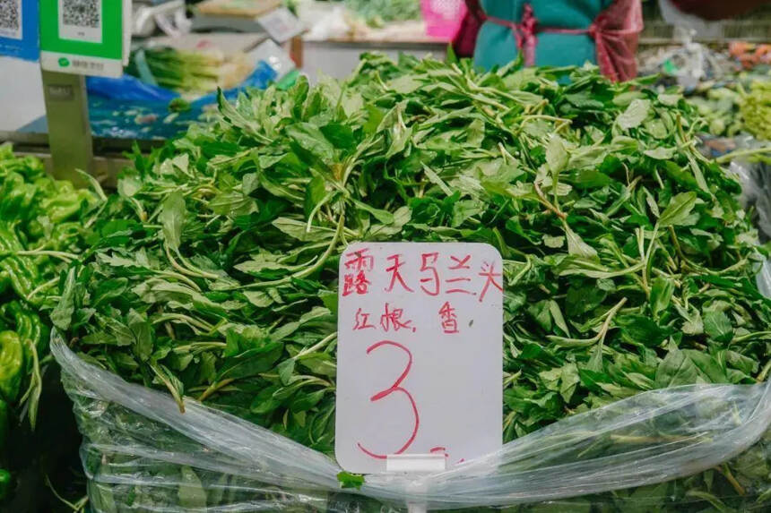 苏州人一到春天就爱“吃草”？100元一斤的蔬菜抢着吃