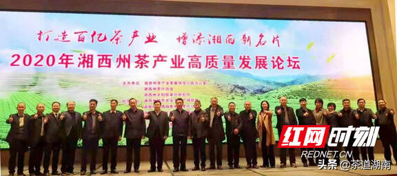 民企心向党丨湘西州茶叶协会：让茶叶成为富民强州的大产业