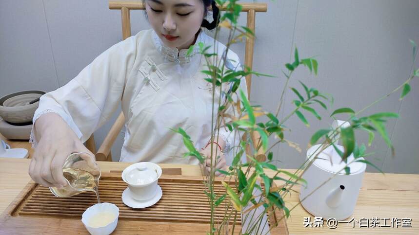 你知道白茶为什么是微发酵茶吗？