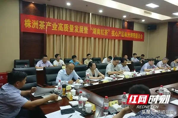 湖南省茶业协会会长周重旺一行到株洲调研茶产业发展情况