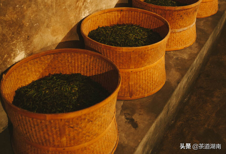 “世遗大会”召开在即！看看史上zui全的茶遗产名录