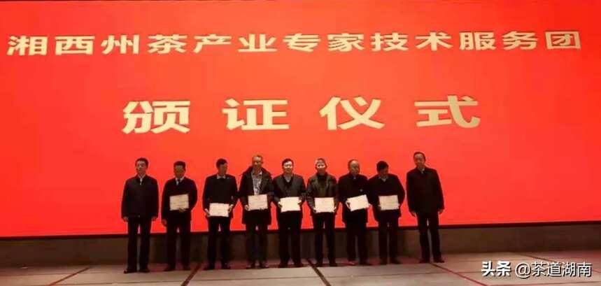 2020年湘西州茶产业高质量发展论坛暨州茶协年终总结大会举办