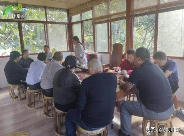 西南林业大学专家来勐腊县考察调研茶产业