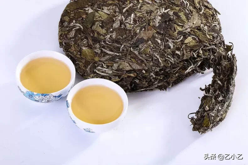 除了福鼎，你还知道哪些地区产白茶呢？