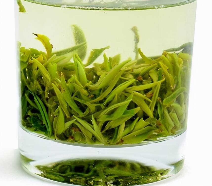 “临海蟠毫”新绿茶，蟠曲披毫、珠兰花香、鲜爽醇厚、鲜橄榄味道