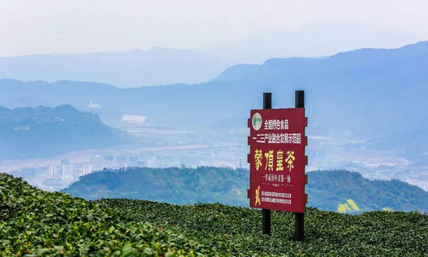 全国首个京东农场数字茶园在蒙顶山揭幕