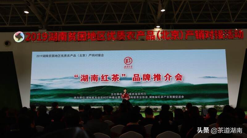 院士站台推介湖南红茶 在京产销对接签约金额达4.8亿元