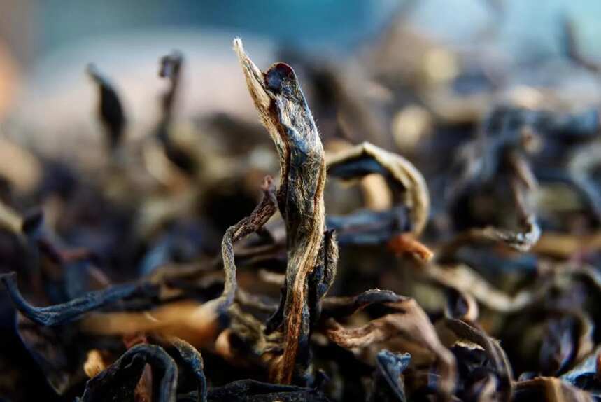 红茶丨云南古树晒红，似平淡又饱满，似无香却悠长