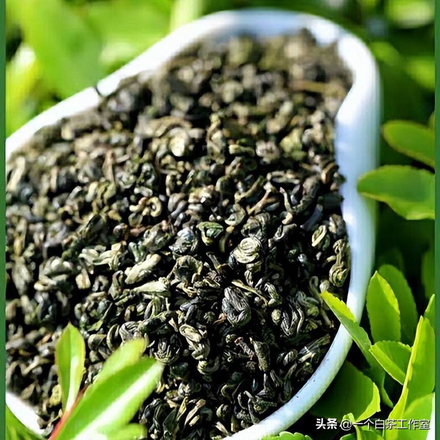白茶如何对抗绿茶？你应该选择哪一个？
