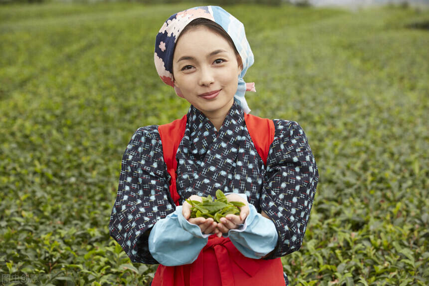 日本茶叶的发展特色：标准化、机械化、从头至尾贯穿整个产业链