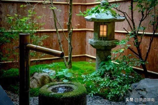 做梦都想在小而美的庭院里，喝茶发呆一整天