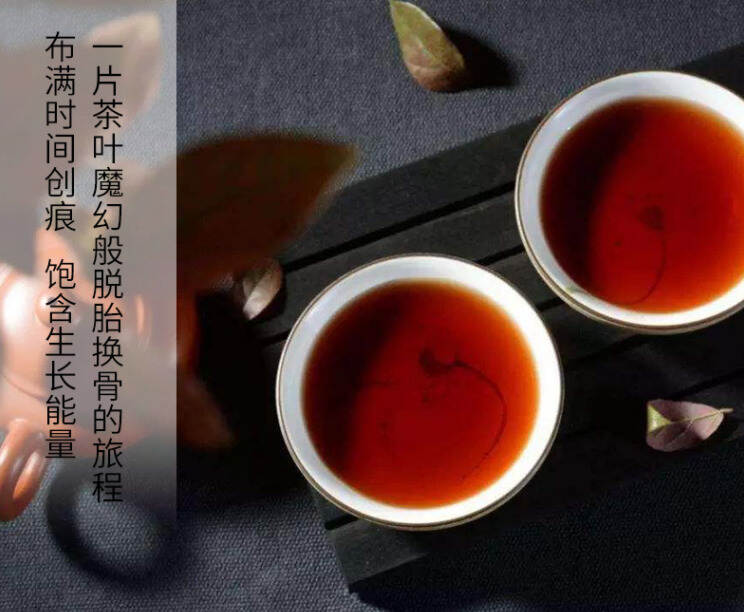 品读：杨万里饮茶的味外之味