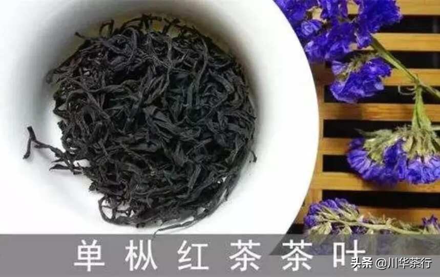 凤凰单丛虽然是乌龙茶，但是它也有红茶你知道么？