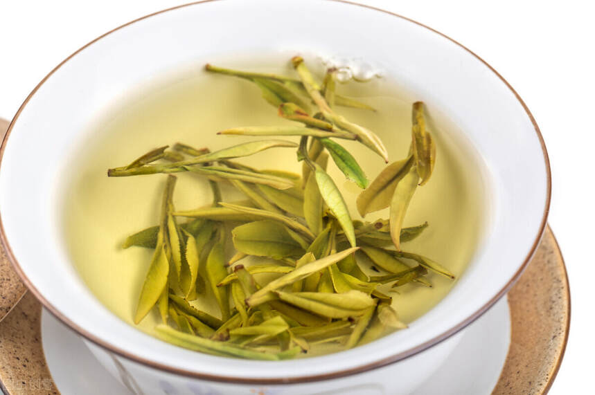 福鼎白茶与安吉白茶：所属茶系、感官特征、产地、品种、都不同