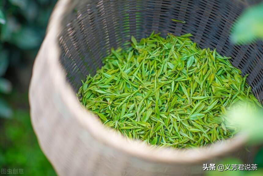 笑傲茶界上千年，西湖龙井凭什么能稳居中国十大名茶排行榜榜单？