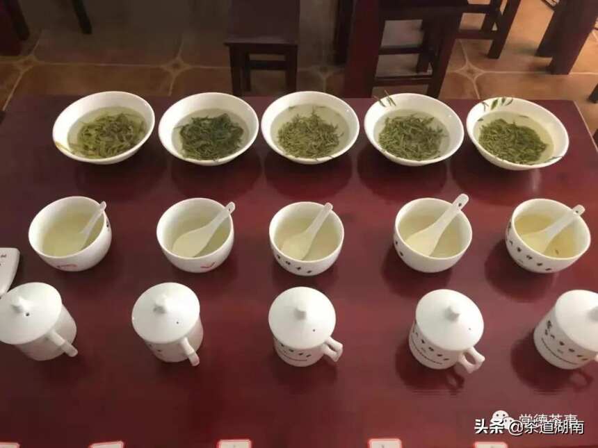 刘淑娟：我为家乡的茶代言