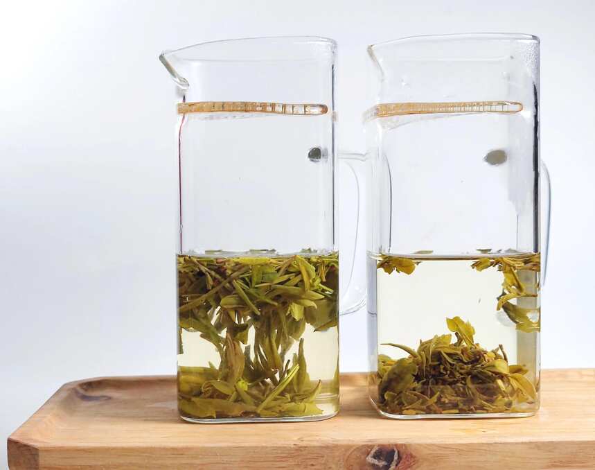 绿茶对冲评测，云南宜良宝洪茶与浙江龙井茶，炒青的差异有哪些？