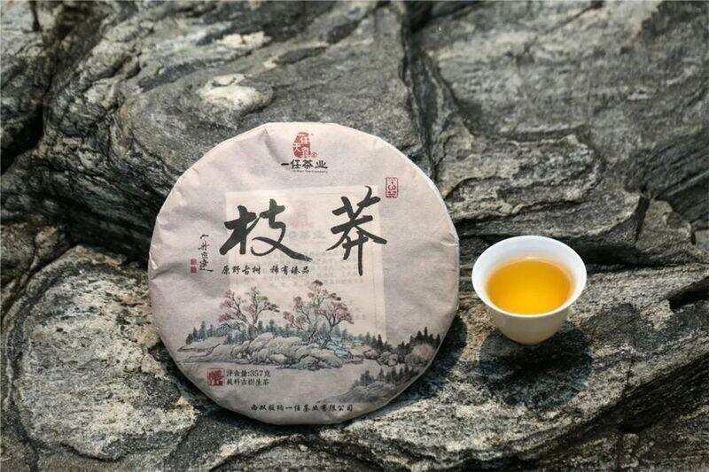 李桂荣说茶丨赫赫有名莽枝山，一香一味总关