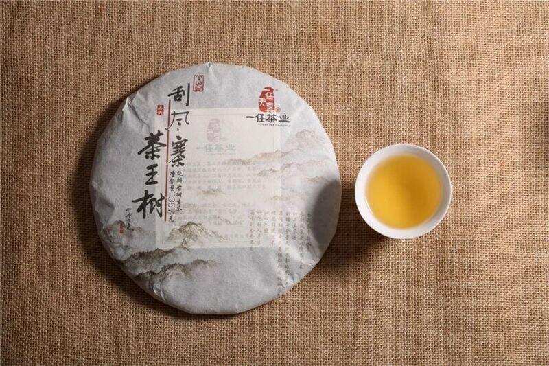 李桂荣说茶丨刮风寨茶王树：绵柔有力，一口就可以征服茶人的味蕾