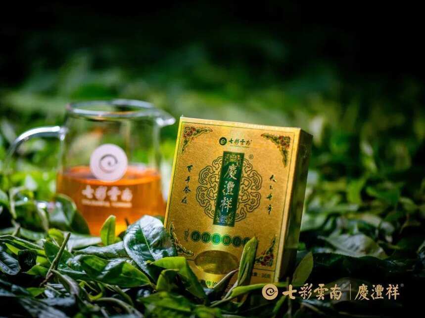 寻茶季 | 保山茶区典型代表——黄家寨正山春古茶开采啦