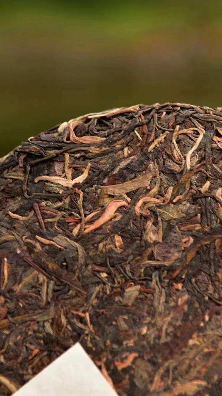 勐宋孔雀生态茶