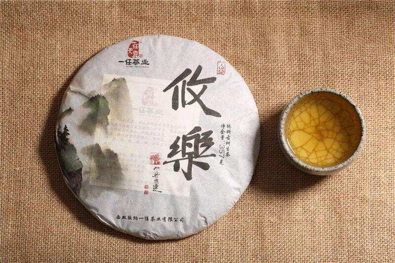 李桂荣说茶丨攸乐山古树纯料茶：香气浓纯，饱满而不失优雅